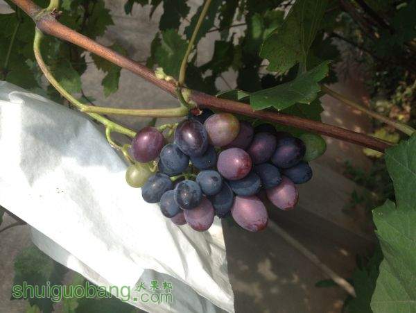 2015-06-28 093407.jpg