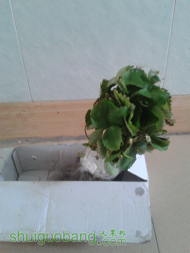 20150627_104812.jpg