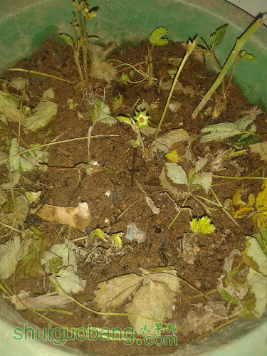 20150630_124630.jpg