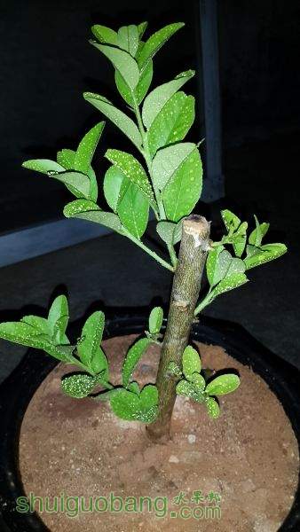 20150630_205749.jpg