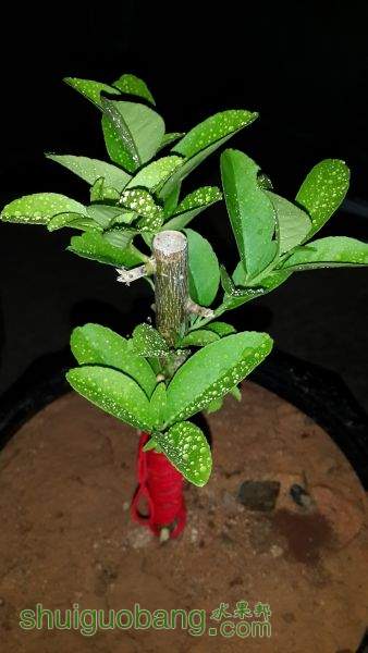 20150630_205813.jpg