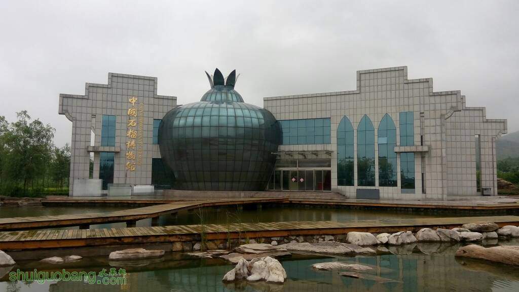 151355ccplcnzvpyylpool.jpg
