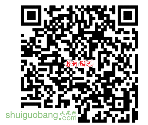 080247xzrb4rxecg88qsil.jpg