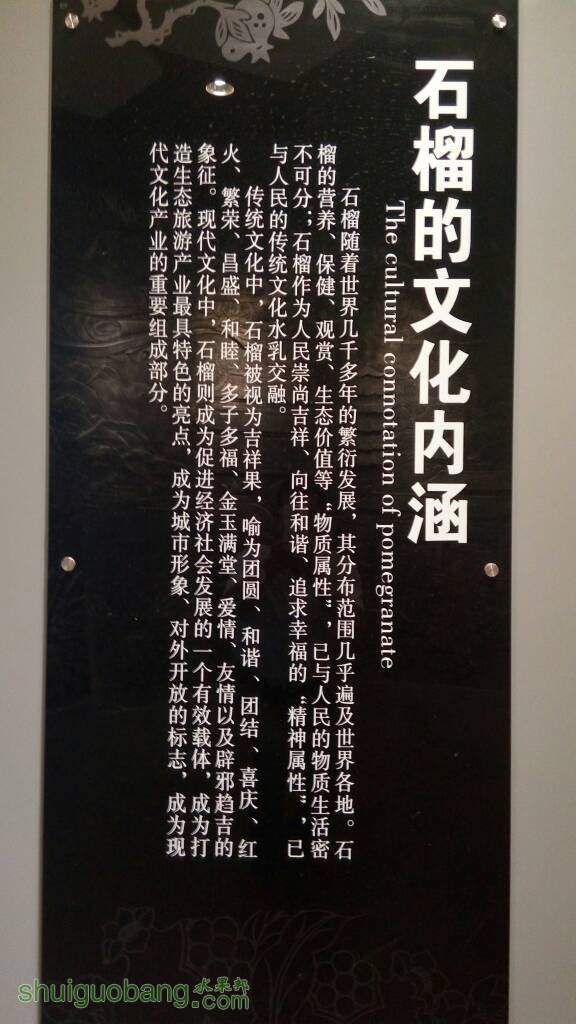 104320r40xcm7xqq0rqxfy.jpg