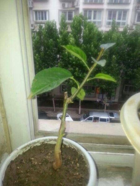 QQͼƬ20150701143115.jpg
