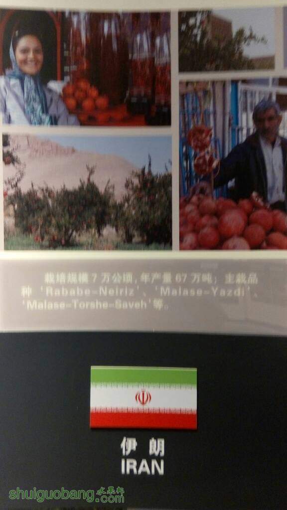 085114yaq1xxa3oaapy1ab.jpg