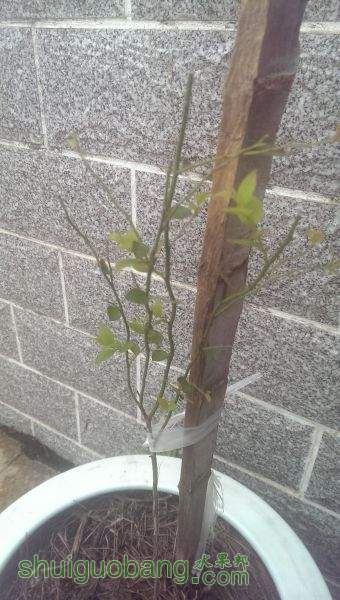 IMAG0474.jpg