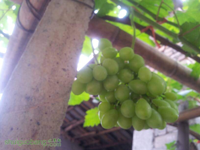 130314q0vhqwmcx23b04t3.jpg