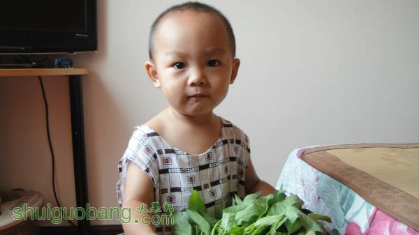 200933ps4fe44qsycrfaqh.jpg