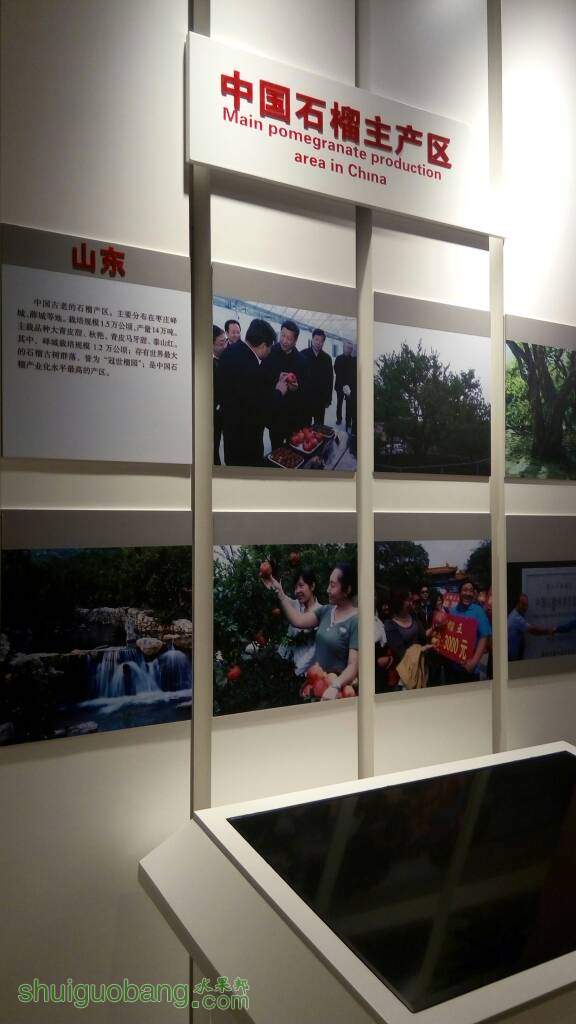 143135ue9cb195idze5lfi.jpg