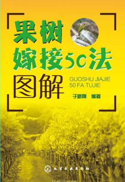 ޽50.jpg