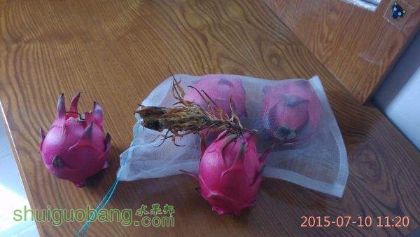 IMG_20150710_112051.jpg