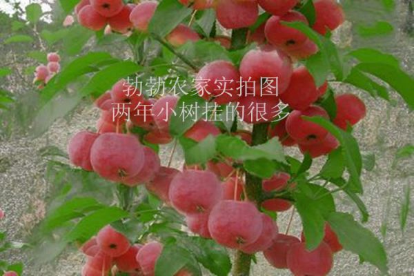 TB2UPtQdpXXXXbuXpXXXXXXXXXX-431918129.jpg