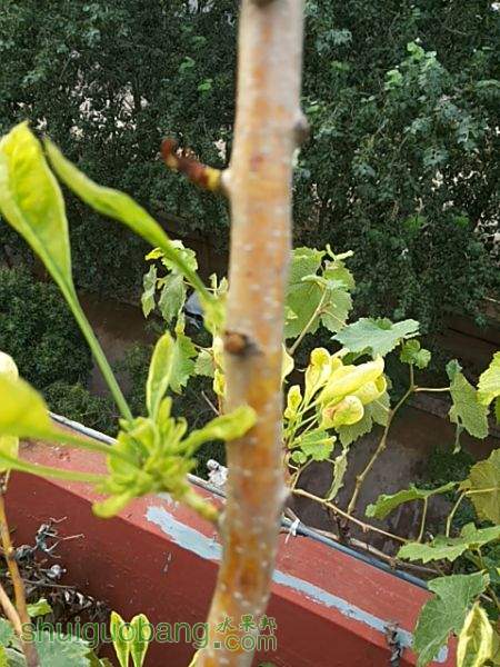 20150710_174815.jpg