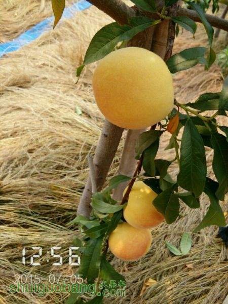 QQͼƬ20150712160856.jpg
