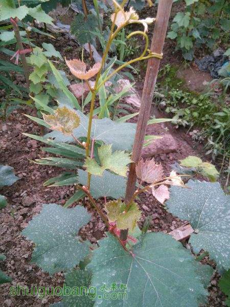IMG20150712145044.jpg