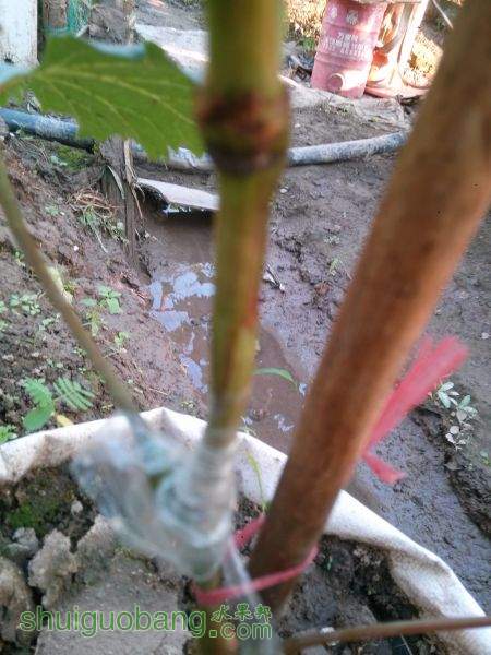 IMG20150712175611.jpg