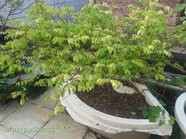 002747yk4hnh8kbeek7wnv.jpg