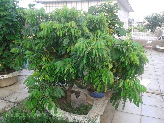 002942p0500z5am300m5lc.jpg