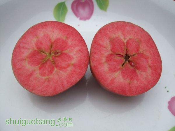 ��ɫ֮������Ȼũ�� 001.jpg