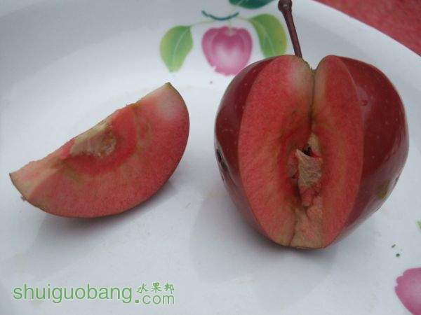 ��ɫ֮������Ȼũ�� 002.jpg