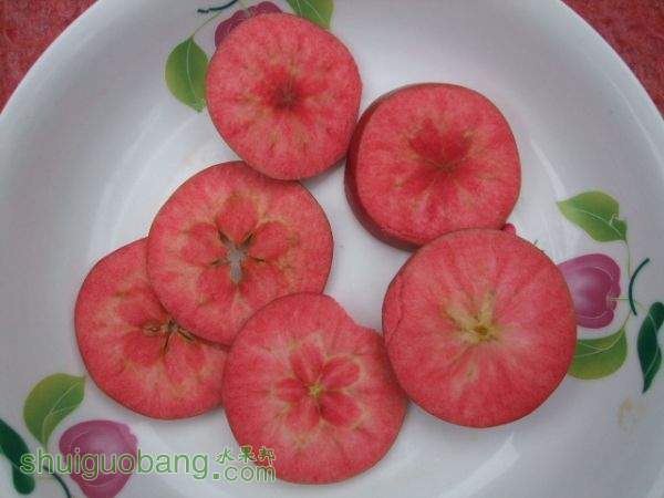 ��ɫ֮������Ȼũ�� 003.jpg