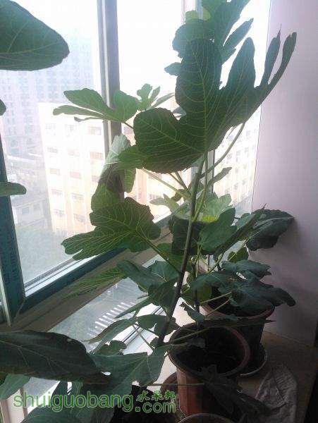 WP_002234.jpg