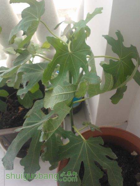 WP_002250.jpg