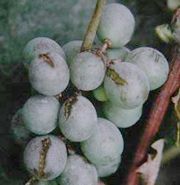 2011711143532874.jpg