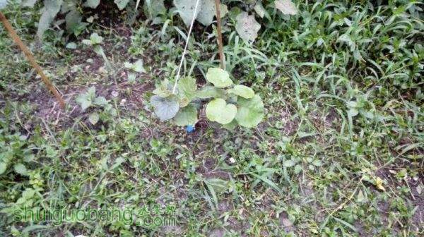 IMG_20150708_185935.jpg