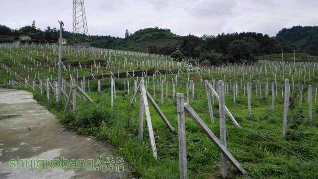 111209rmm1wwbtgxysf1gb.jpg