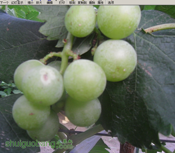 QQͼƬ20150717215212.png