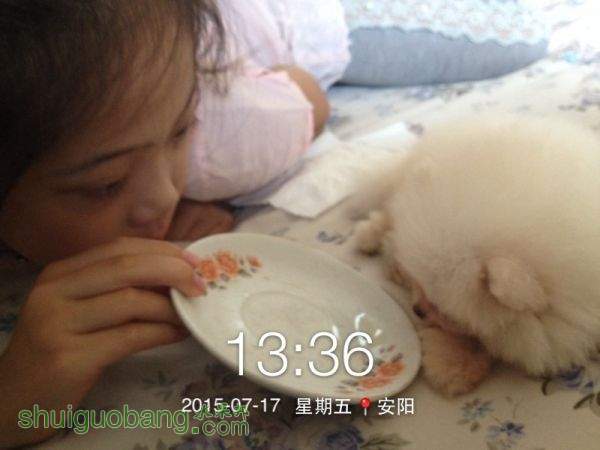 PIC_20150717_133614_DA3.jpg