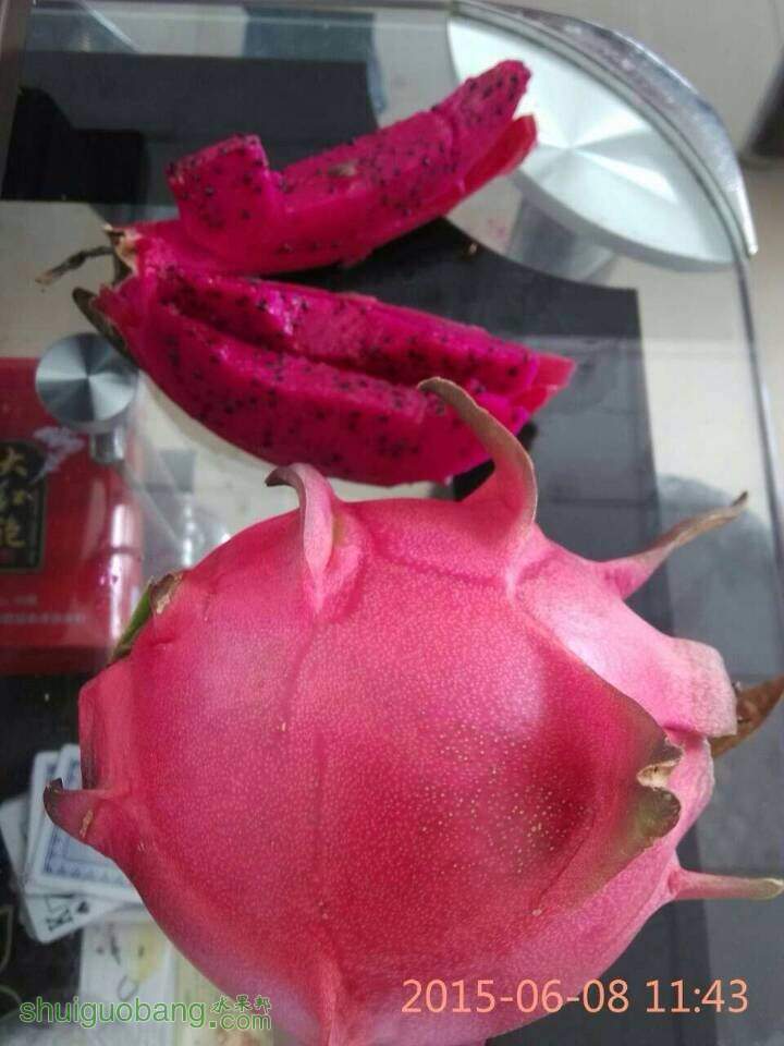 124428ofjgahjgkbiuhiin.jpg