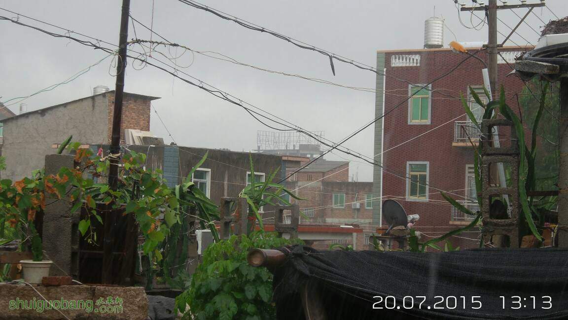 214551jwzg17ulgo70sdlo.jpg