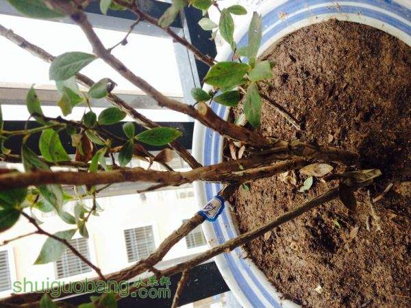 QQͼƬ20150723105630.jpg