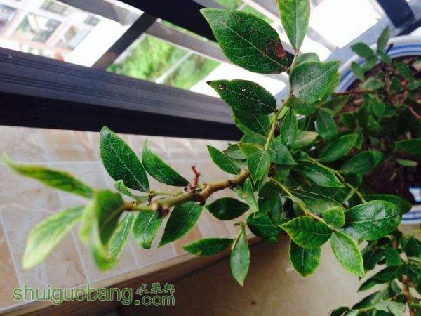 QQͼƬ20150723105647.jpg