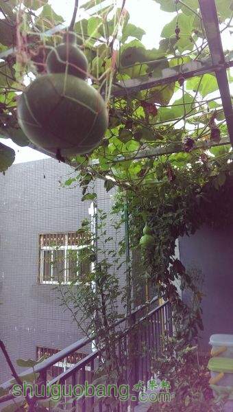 IMAG2379.jpg