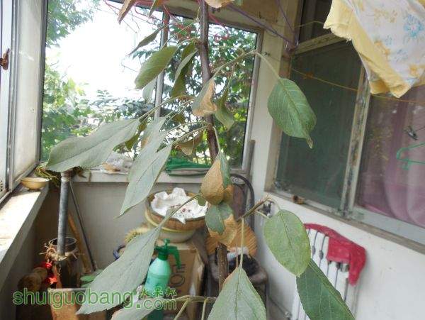 DSCN1410.JPG