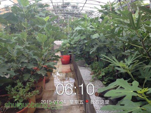 PIC_20150724_061102_BD9.jpg