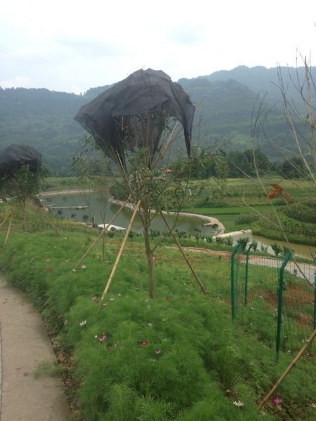 QQͼƬ20150725080827.jpg