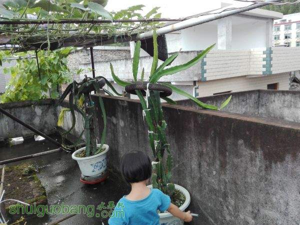 QQͼƬ20150725201320.jpg