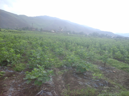 20150725_112547.jpg