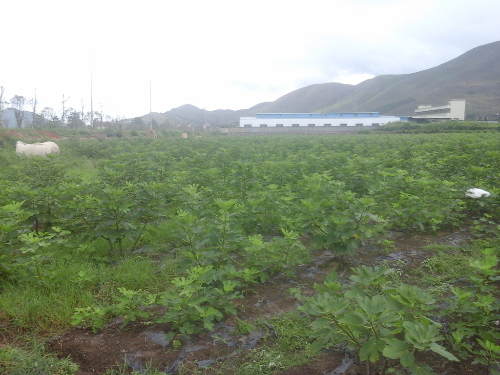 20150725_112544.jpg