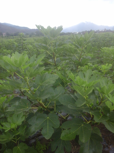 20150725_111549.jpg