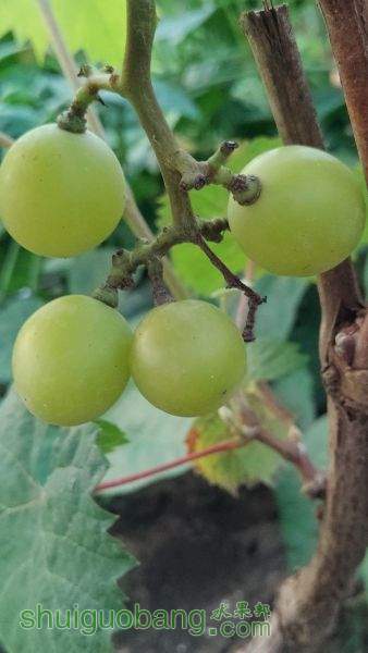 IMG_20150710_191201_AO_HDR.jpg