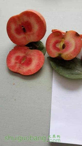 psbCAU7BHAJ.jpg