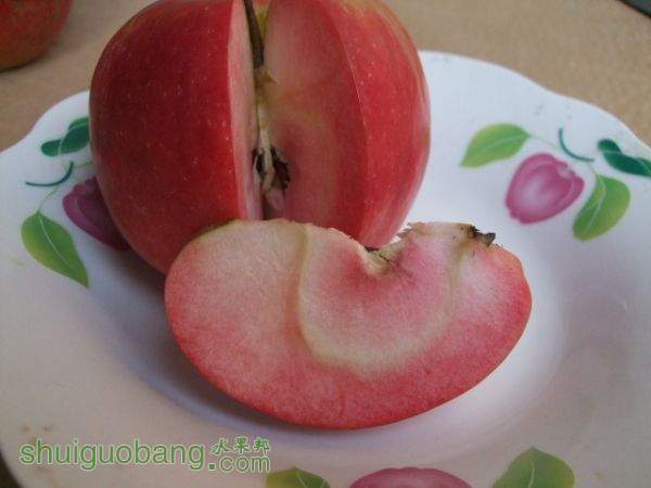 2014 020.jpg