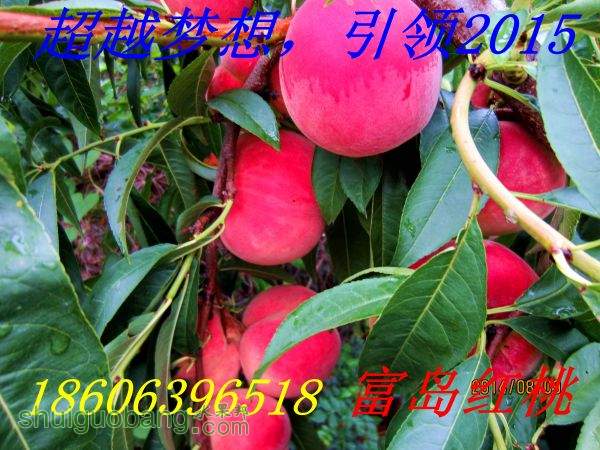 IMG_2794__.jpg