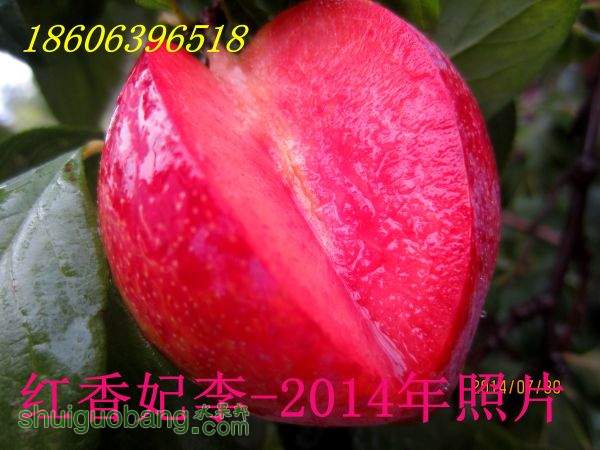 IMG_2692_.jpg